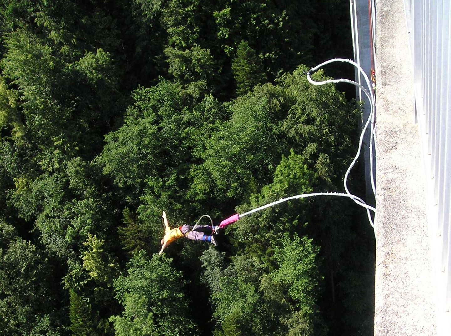 Bungee jump and Mosel valley vineyards