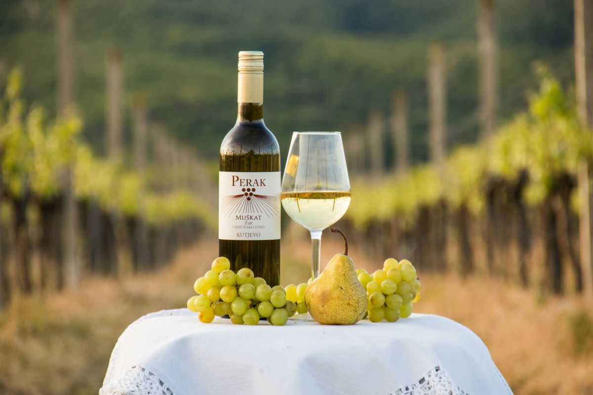 Italian cooking class and vineyard tastings